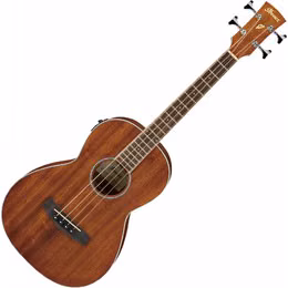 Ibanez PNB14E