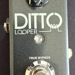 Ditto Looper