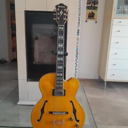 Ibanez pm 2aa