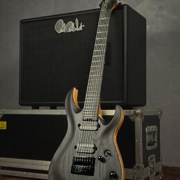Elektrická kytara s šedým matným povrchem s viditnou strukturou dřeva a světle hnědými hranami korpusu. Na korpusu jsou dva humbuckery, ovládací knof…