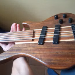 Harley Benton fretless