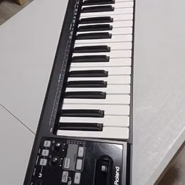 Roland A-49