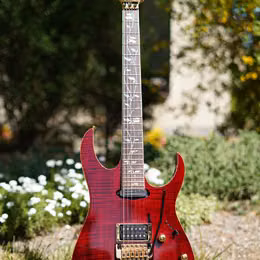 Ibanez Rg8565r J custom 1 of 20