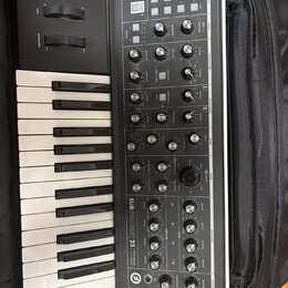 Černý syntetizátor Moog Subsequent 25 s dřevěnými bočními panely, umístěný v černé polstrované brašně. Na ovládacím panelu je nápis SUBSEQUENT 25 a l…