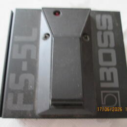 BOSS FS-5L
