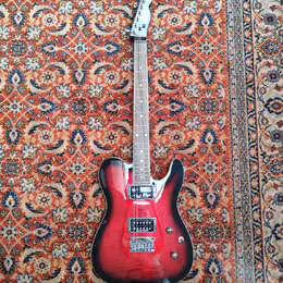 Fender Telecaster Custom FMT