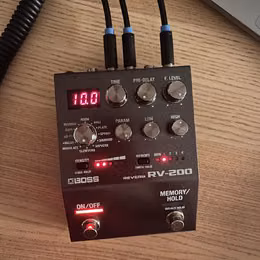 Boss RV-200