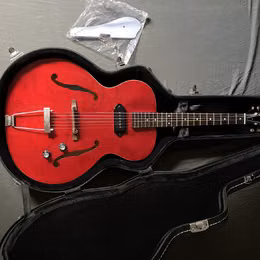 Epiphone Inspired by "1966" Century (E422T) + pevn&yacute; kufr 