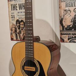 TAKAMINE "GN30" Elektroakustická Kytara (4 měsíce starý) 