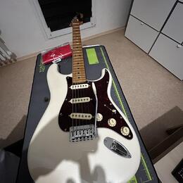 Fender Stratocaster player Mexico