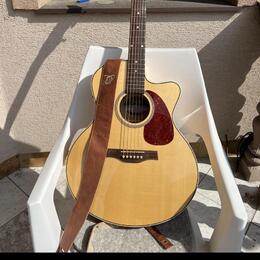 Seagull Performer CW Mini Jumbo HG Presys II