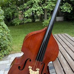 Kontrabas Palatino VB-004