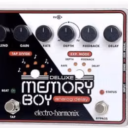 Kupim EHX Memory Boy Deluxe
