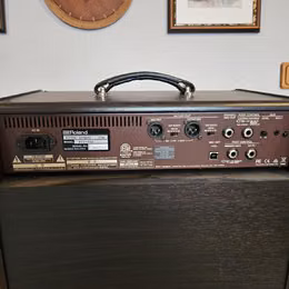 Boss Acoustic Singer Pro 120W