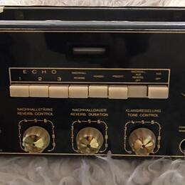 Dynacord echocord super