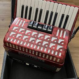 Delicia Junior 21 (72 basů, tříhlas)