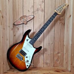 James Tyler Variax JTV-69