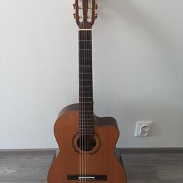 Ortega RCE159SN + gigbag