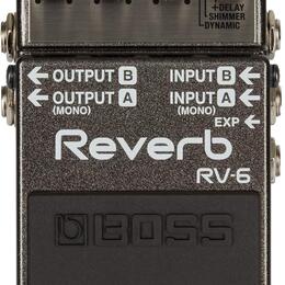 Boss RV-6