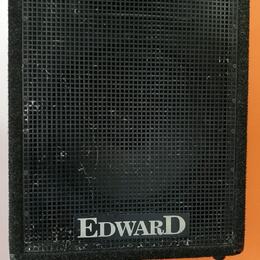 2x reprobox Edward 250W RMS