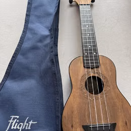 Ukulele flight