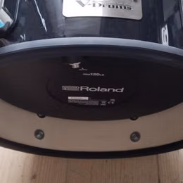 Roland PDA120LS BK.