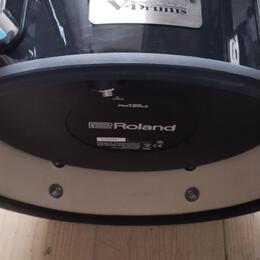 Roland PDA120LS BK.
