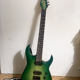 Zelená elektrická kytara s výraznou strukturou dřeva na těle a hmatníku. Na hlavě je nápis „Hardy Brother Custom“. Nástroj má dva humbuckery, dva ovl…