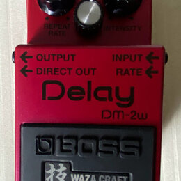 Červený efekt pedál s nápisy OUTPUT, INPUT, DIRECT OUT a RATE. Uprostřed je velký nápis Delay a modelové označení DM-2w. Spodní část tvoří černý spín…