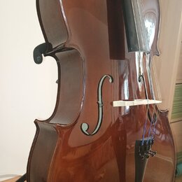 Detailní pohled na hnědý lakovaný smyčcový nástroj, pravděpodobně violoncello. Na těle jsou vidět dvě f-otvory a bílý kobylík, přes který vedou čtyři…