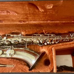 Stříbrný saxofon v otevřeném kufru s oranžovou plyšovou výstělkou. Nástroj má lesklý kovový povrch a je vybaven kompletní mechanikou s perleťovými kl…