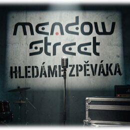 Fotografie zachycuje stříbrný mikrofon na stojanu umístěný před šedou stěnou. Na stěně je černý nápis „mendow street HLEDÁME ZPĚVÁKA“. V pozadí jsou…