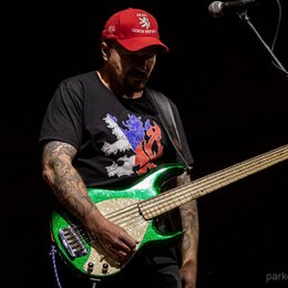 Fotografie zachycuje muže s basovou kytarou v zeleném třpytivém provedení. Nástroj má světlý hmatník a bílý plech s nápisem "Music Man". V pravém dol…