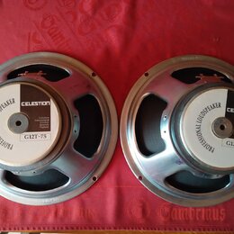 Dvě stejné reproduktorové jednotky s kovovým rámem a bílými středovými štítky. Na štítcích je uveden nápis PROFESSIONAL LOUDSPEAKER, značka CELESTION…