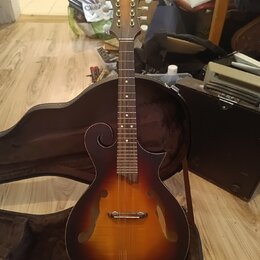 Kytara typu mandolina s tmavě hnědým sunburst povrchem a f-otvory. Na hlavě je viditelné logo ve tvaru ptačího profilu, ladící kolíčky jsou bílá. Nás…
