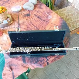Stříbrná flétna položená v otevřeném černém tvrdém kufru. Na těle nástroje není vidět žádný značka ani model. Povrch flétny je lesklý, kufřík má dvě…