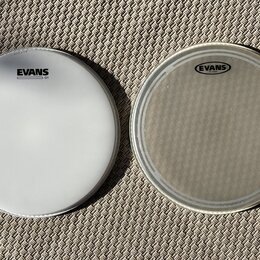 Evans G1 coated 13”, EC 13” - nové