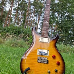 Elektrická kytara s prohnutým korpusem v žlutém sunburst provedení s viditnou strukturou dřeva. Na hmatníku jsou vyznačeny vložky ve tvaru ptáků. Kyt…