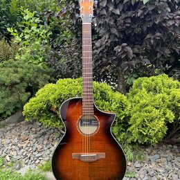 Akustická kytara s cutawayem v hnědém sunburst provedení. Na hlavě je bílý nápis Ibanez. Nástroj je umístěn na černém stojanu před zelenými keři a ka…