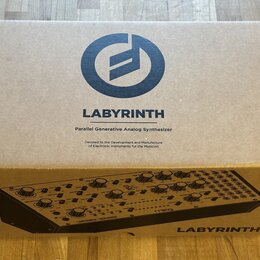 Hnědý kartonový krabic s nápisem LABYRINTH a textem Parallel Generative Analog Synthesizer. Pod tím je menší nápis Devoted to the Development and Man…