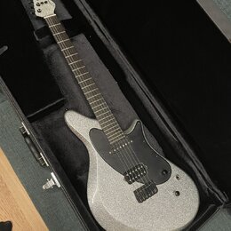Elektrická kytara s trpyřivým stříbrným povrchem těla a černým pickguardem. Nástroj má šest strun, dva humbuckery a černý hmatník. Na hlavě kytary ne…