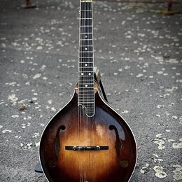 Mandolina s hruškovitým korpusem v tmavě hnědém sunburst provedení. Na hlavě je bílý nápis „12“. Nástroj stojí na černém stojanu. Povrch laku vykazuj…