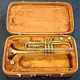 Zlatý trumpet v hnědém tvrdém kufru s plišovou výstlkou. Nástroj je v lesklém povrchu, bez viditelných značek či nápisů. Povrch nástroje i vnitřek ku…