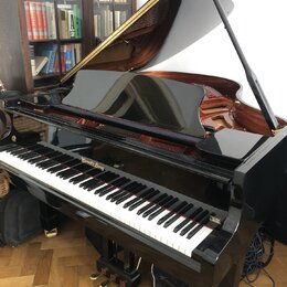 Černý křídlový klavír s vysokým leskem a dřevěným vnitřním povrchem. Nad klávesnicí je zlatý nápis "Wendel Lung". Nástroj stojí na dřevěné parketové…