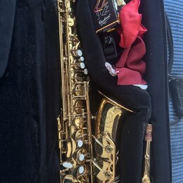 Zlatý saxofon v černém pouzdře. Na korunu nástroje je vyryto "YAMAHA" a pod ním text "Custom Z edition". V pouzdře je umístěna krabička s nápisy "ZZ"…