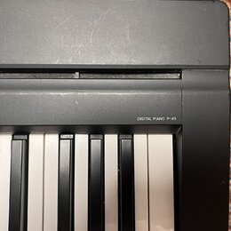 Detailní pohled na část klávesnice digitálního piana v černé barvě. Na horní liště je bílý nápis DIGITAL PIANO P-45. Povrch plastového šasi vykazuje…