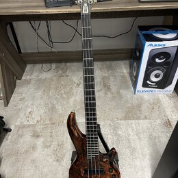 Elektrická basová kytara s tmavým dřevěným povrchem s výraznou kresbou zrna. Na hlavě hmatníku je viditelné logo "Schecter". Nástroj je umístěn ve st…
