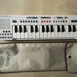 Bílý elektronický klavír s nápisem CASIO PT-30 ELECTRONIC MUSICAL INSTRUMENT. Nástroj má bílé klávesy, modrá a šedá tlačítka a v horní části ovládací…