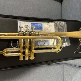 Zlatý mosazný kornét položený na černém pouzdře. Na nástroji je v horní části viditelné logo YAMAHA a nápis MODEL 230. Povrch nástroje vykazuje známk…