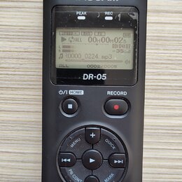 Černý digitální záznamový systém s dvěma stříbrnými mikrofony v horní části označenými písmeny L a R. Na přístroji je bílý nápis TASCAM, modelové ozn…